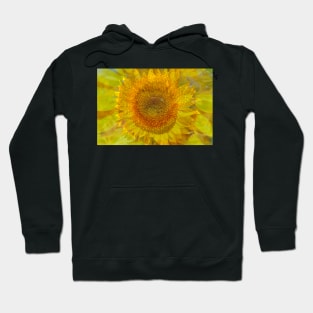 Sunflower, sunflower, abstract, (Helianthus annuus) Hoodie